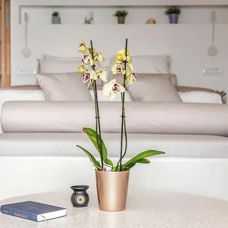 The Colourful Land Syrma Apartment Klima (Milos)